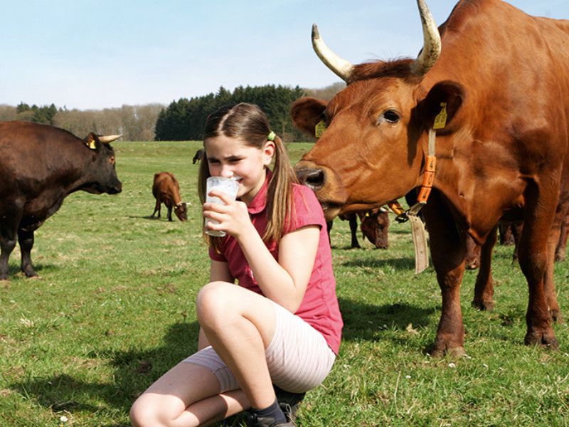 Selgenhof Landwirtschaft + Molkerei