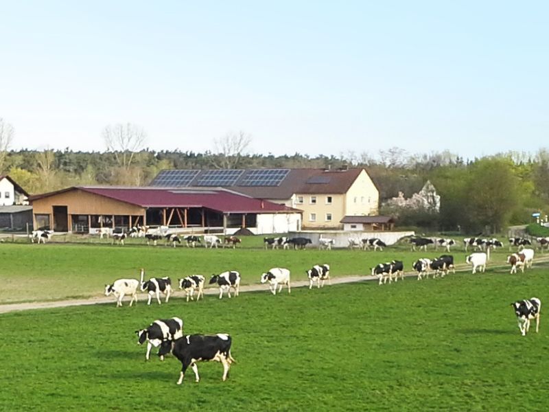 Seehöfer Milchtankstelle