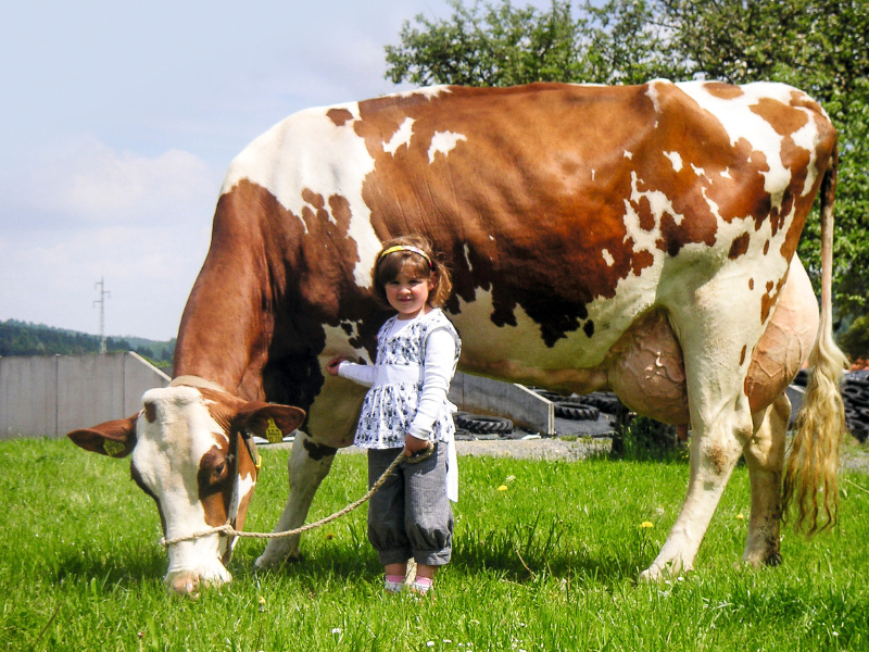 Milch- und Zuchtviehbetrieb Garthe-Metz GbR